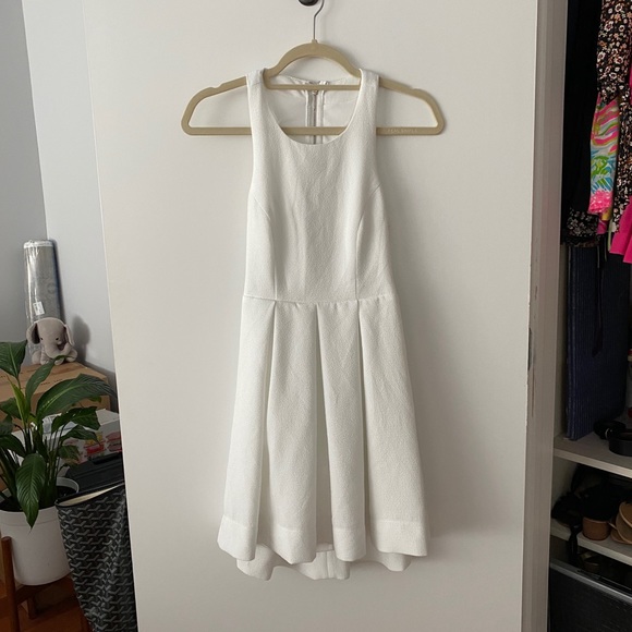 Lulu’s Skater Dress - Picture 4 of 9